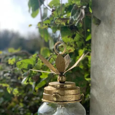 La Bulle Suspendue *